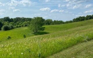 blue sky rolling green hills Pontiac State Park