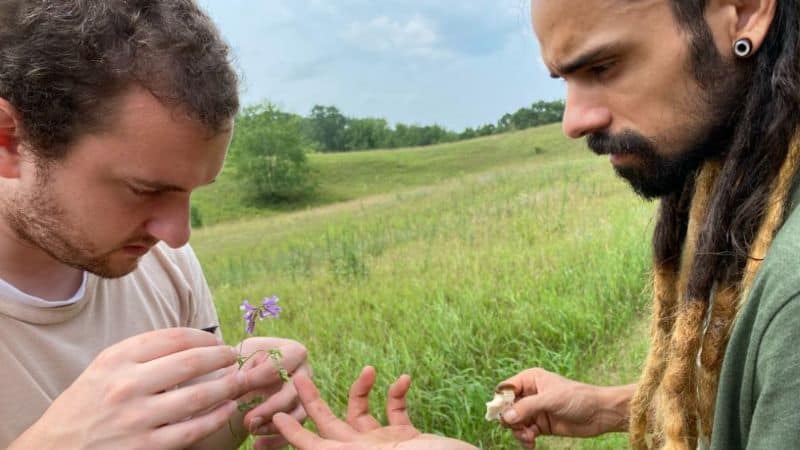 two young men looking closely at a flower in a meadow