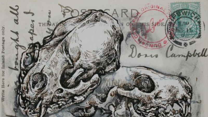 Black and white ink drawing of a skull on old post card with some of the address and postage stamp visable
