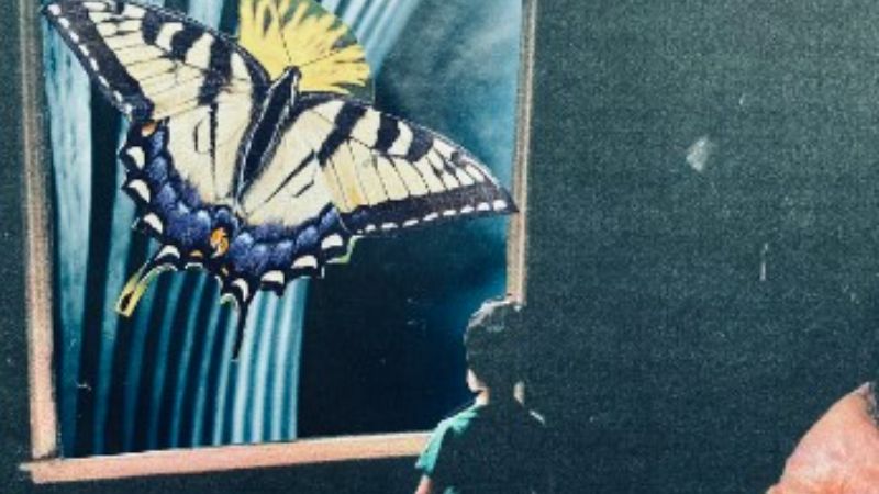 A color photo of a boy on a bed with a pink bed spread looking out the window at a larger than life yellow and black striped butterfly
